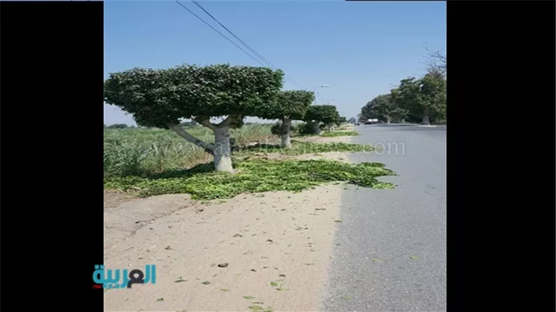 رفع كفاءة قرية 