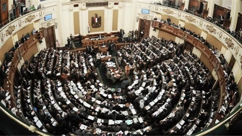 رفعت حسين: شرحنا للنواب أضرار قانون الخدمة المدنية 