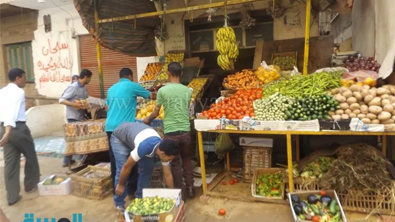 بالصور.. إزالة الإشغالات والأبنية المخالفة بحي المطرية 