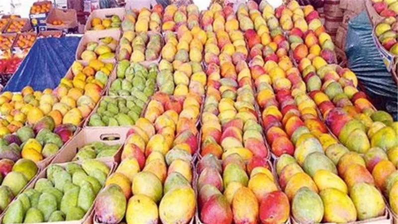 تباين أسعار المانجو بسوق العبور اليوم