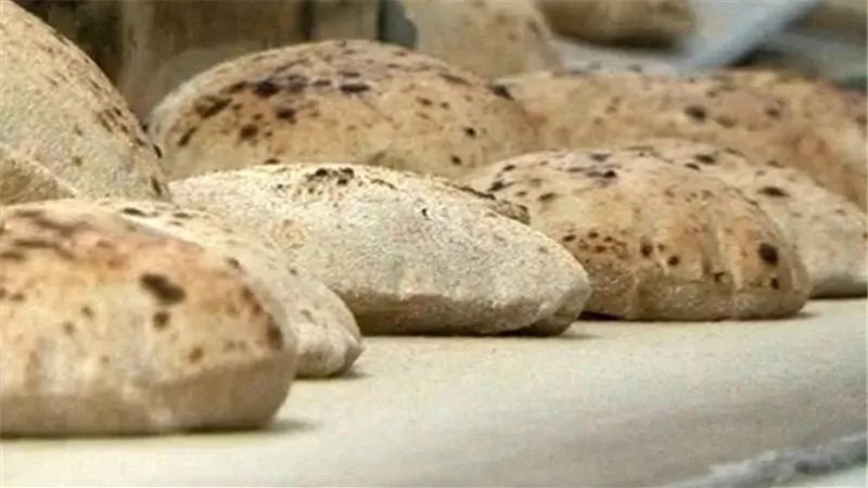 بالأرقام.. استهلاك الخبز بمراكز وأحياء الجيزة خلال يونيو الماضي.. 