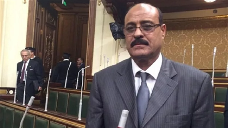 بالفيديو.. برلماني عن 