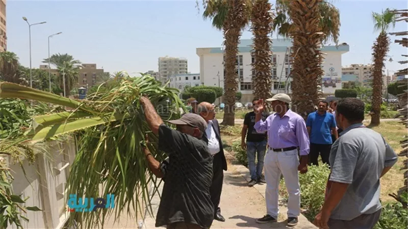 استكمال إزالة العقار المخالف بمنطقة الفرز في السويس