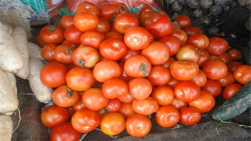 الطماطم تسجل 2.25 جنيه بسوق العبور اليوم
