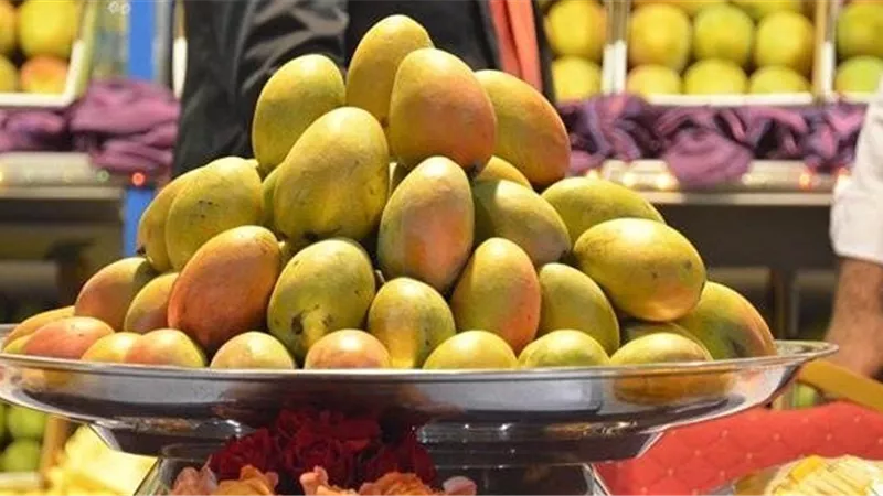 تباين أسعار المانجو بسوق العبور اليوم