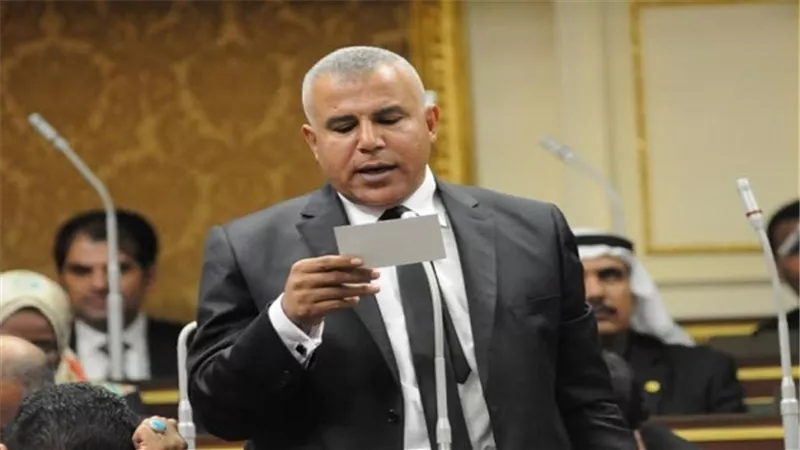 برلماني: الرئيس يتابع حل الأزمات الطائفية