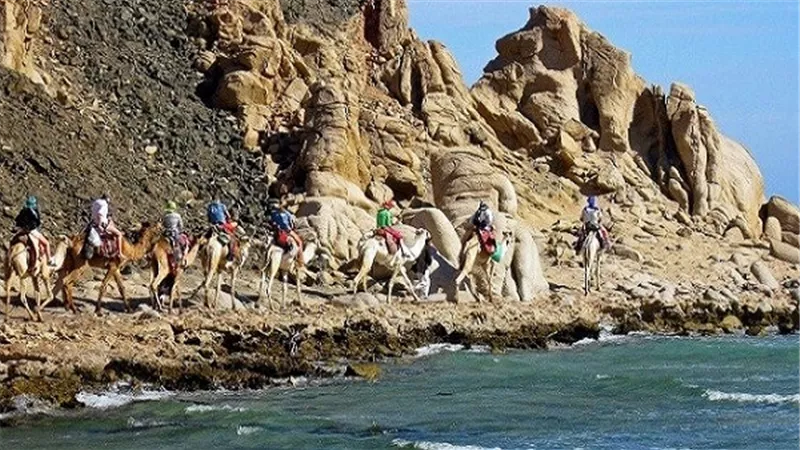 المحميات الطبيعية.. سحر الجمال يذوب عشقًا في مصر.. 