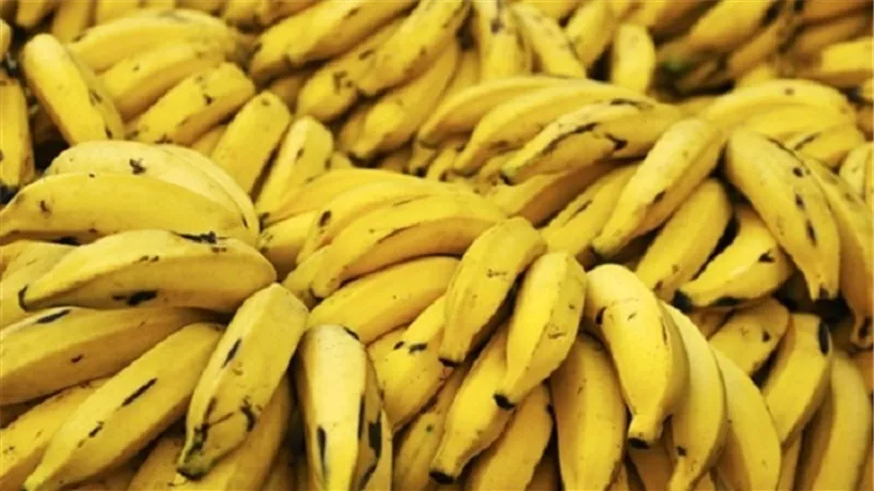 الموز يتراجع 50 قرشًا بسوق العبور اليوم