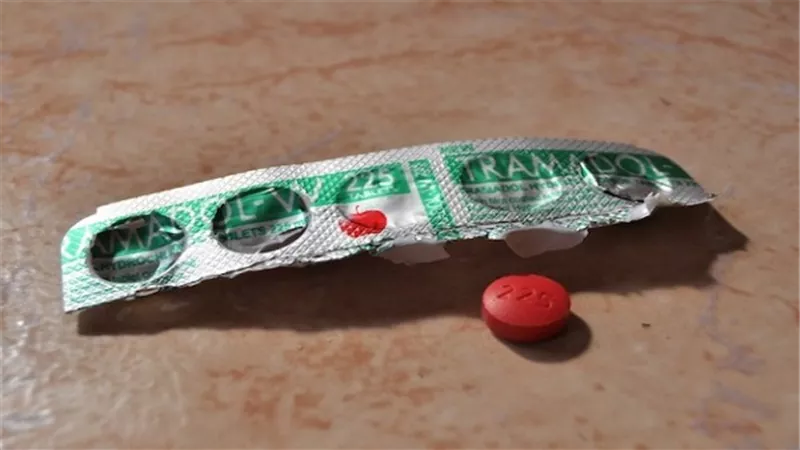 بالفيديو.. 