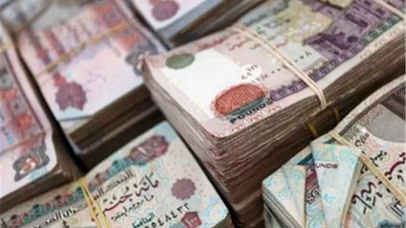 بالمستندات.. محتالان يستوليان على 109 ملايين جنيه من مواطنين بالفيوم.. عشري: أودعت عندهم 250 ألفًا.. عبدالله: 