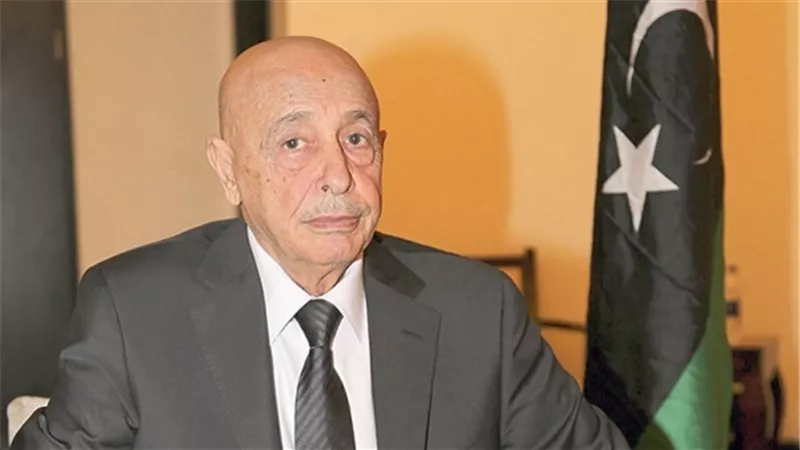 رئيس البرلمان الليبي يلتقي أبوالغيط لمناقشة الأزمة الليبية