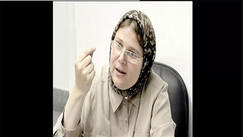 بالفيديو.. برلمانية: العدادات الكودية تحل أزمة سرقة الكهرباء