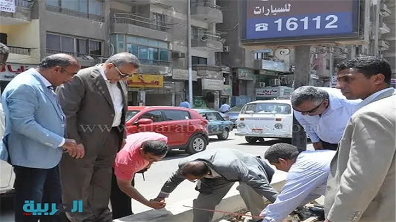 زراعة الجزيرة الوسطى في المريوطية بـ100 نخلة 
