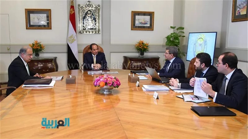 السيسي يطالب باستحداث برنامج إلكتروني لفحص الملفات الضريبية بشكل دوري