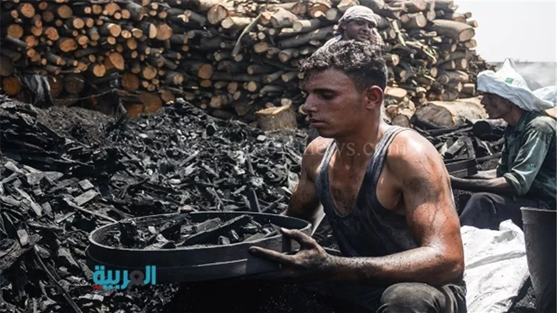 عمال الفحم يتحدون 