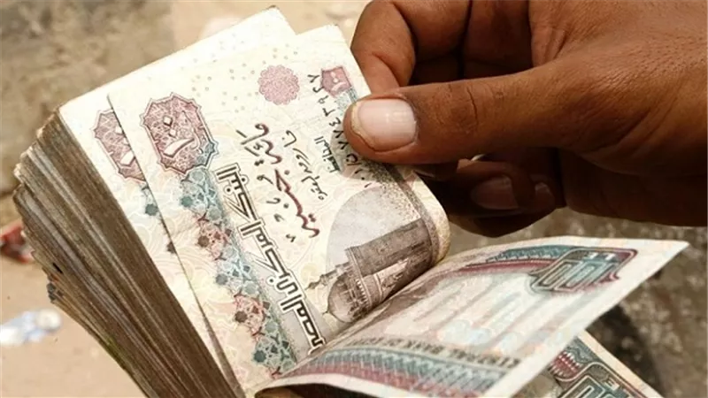 صراف إدارة شمال السويس التعليمية يختلس 800 ألف جنيه