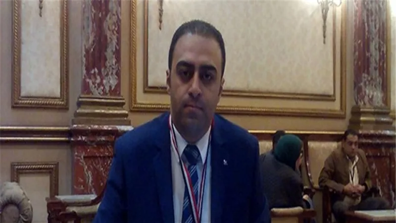 بالفيديو.. برلماني يكشف تفاصيل تمويل إنشاء مستشفى رمد المحلة