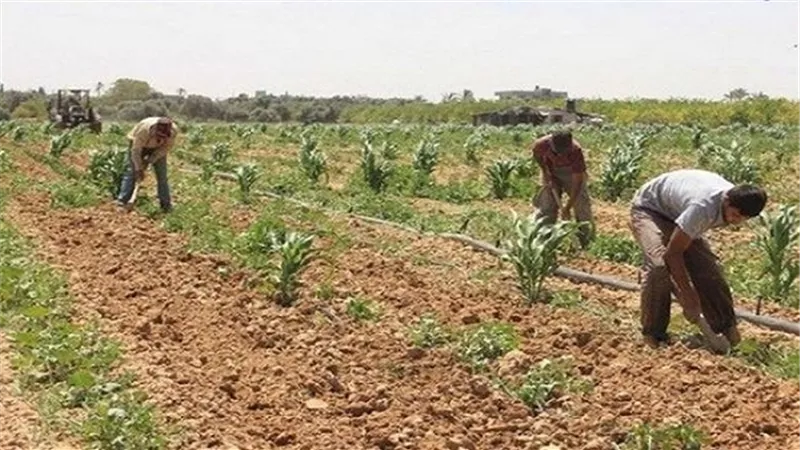 تحديد صلاحية استزراع 1.5 مليون فدان