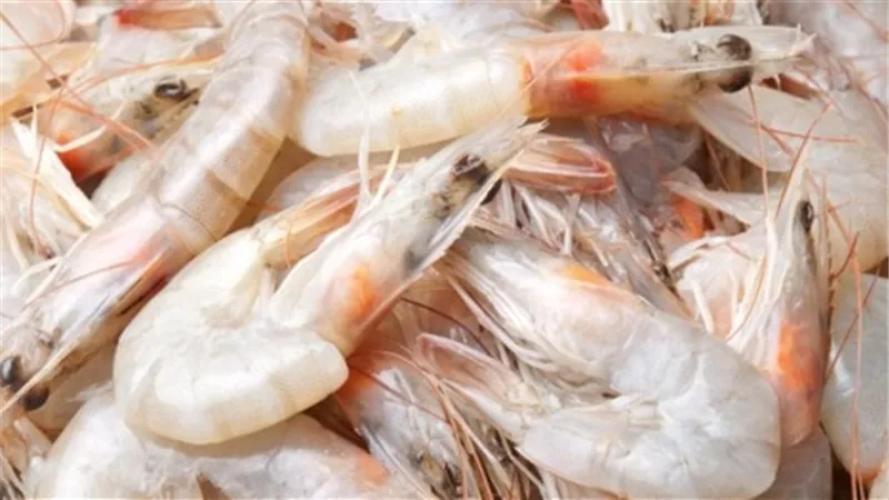 كيلو الجمبري يسجل 130 جنيهًا بسوق العبور