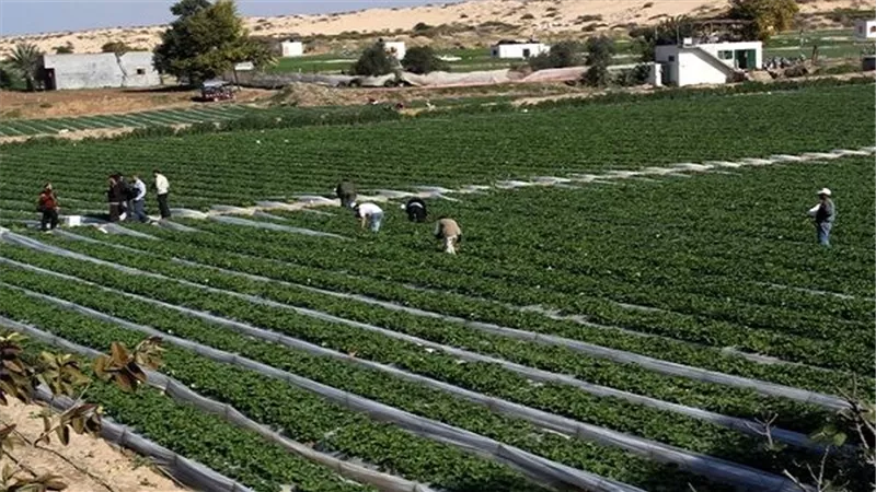 بالفيديو.. برلماني عن أزمة 