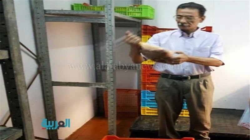 بالصور.. حملة بيطرية على المحلات بالمقطم 