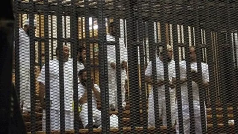 شاهد بـ