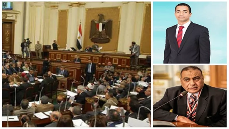 البرلمان يتصدى لدعوات فرض الضرائب على العاملين بالخارج.. 