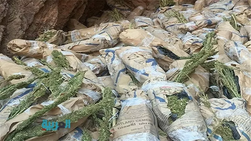بالصور.. العثور على 2 طن بانجو مخبأة داخل مغارة جبلية بالغردقة