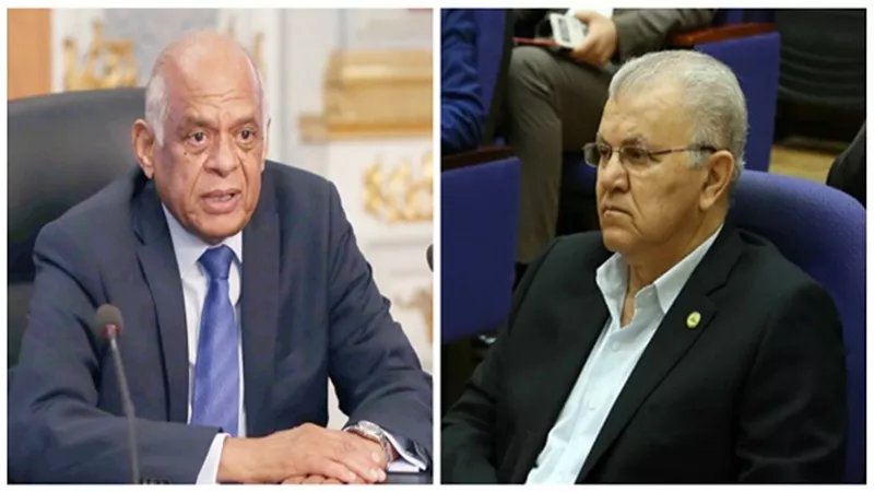 بالفيديو.. برلماني لـ