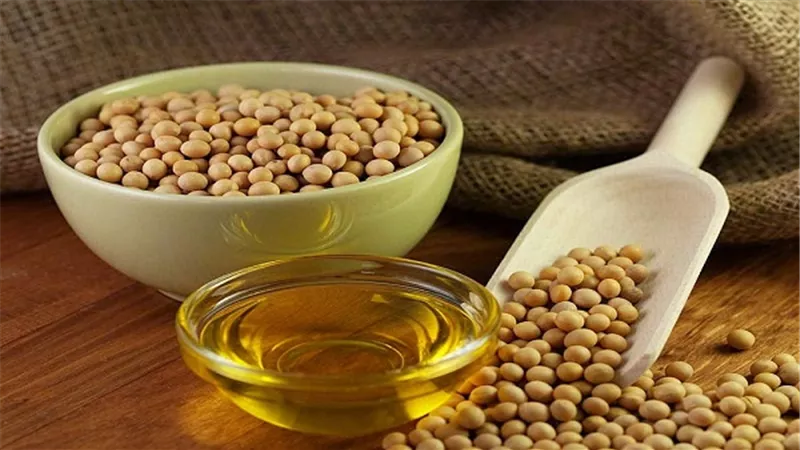 توقعات بانخفاض أسعار زيت الصويا خلال الشهر الجاري