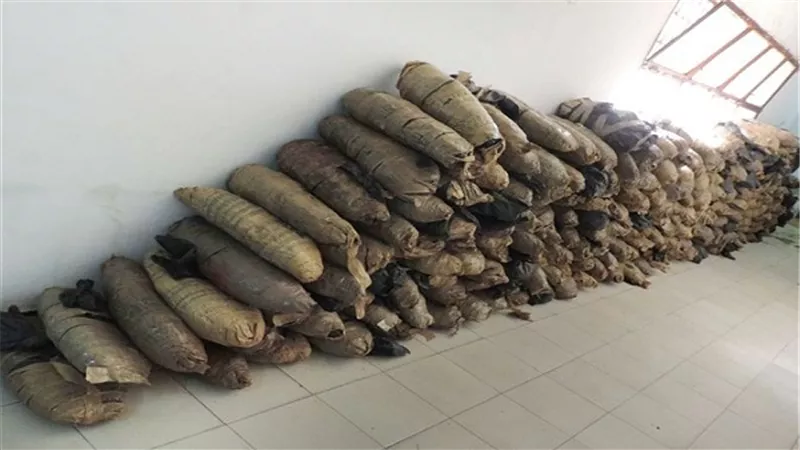 شرطة النقل: ضبط 11 قضية مخدرات و148 بائعًا متجولاً في حملة أمنية
