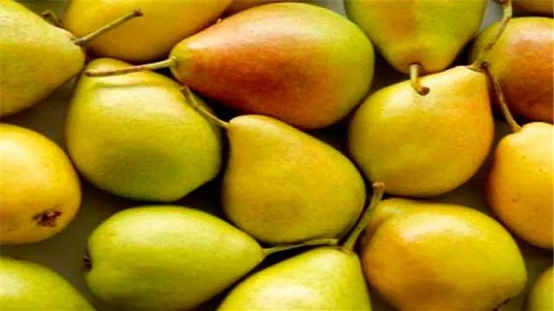 الكمثري تتراجع لـ7.5 جنيه بسوق العبور 