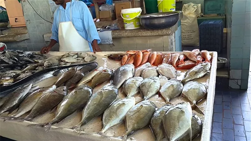 أسعار الأسماك في سوق العبور