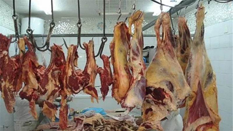 ضبط 10 طن لحوم فاسدة بالجيزة