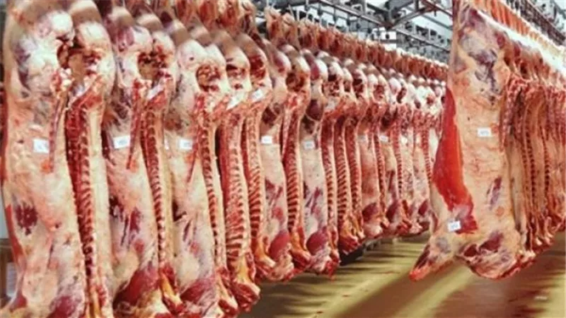 ننشر أسعار اللحوم الحية بمنافذ وزارة الزراعة خلال العيد 