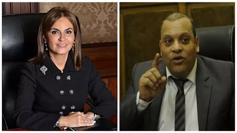 الفضالي يشيد بجهود وزيرة التعاون الدولي بعد وديعة الملياري دولار