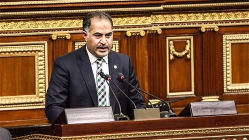 بالفيديو.. وكيل البرلمان لـ