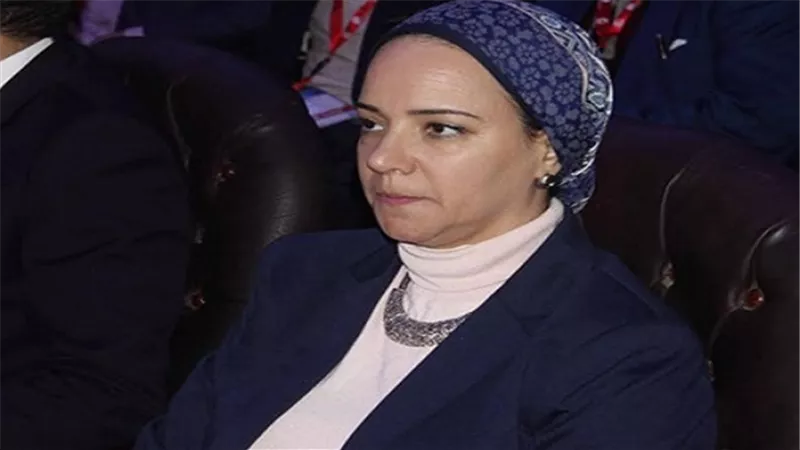 برلمانية ترفض فرض ضرائب على المصريين بالخارج 