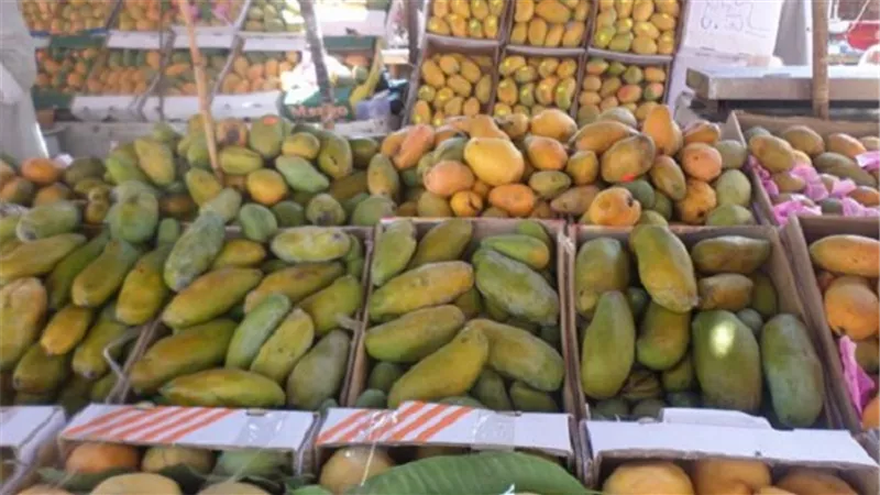 المانجو تسجل 15 جنيهًا بسوق العبور اليوم