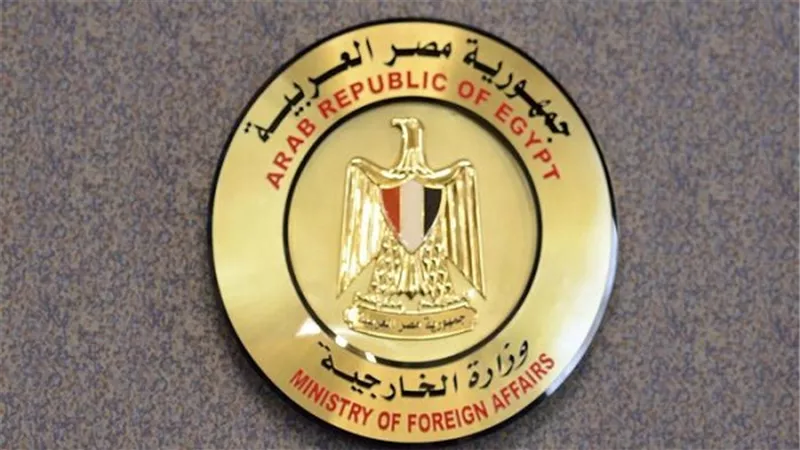 أحمد أبو زيد: العلاقات المصرية الروسية راسخة وذات طبيعة خاصة