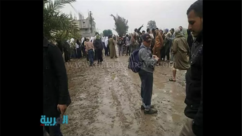 بالصور.. 