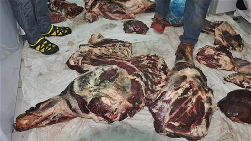مباحث التموين بالسويس تضبط كمية من اللحوم غير صالحة للاستهلاك