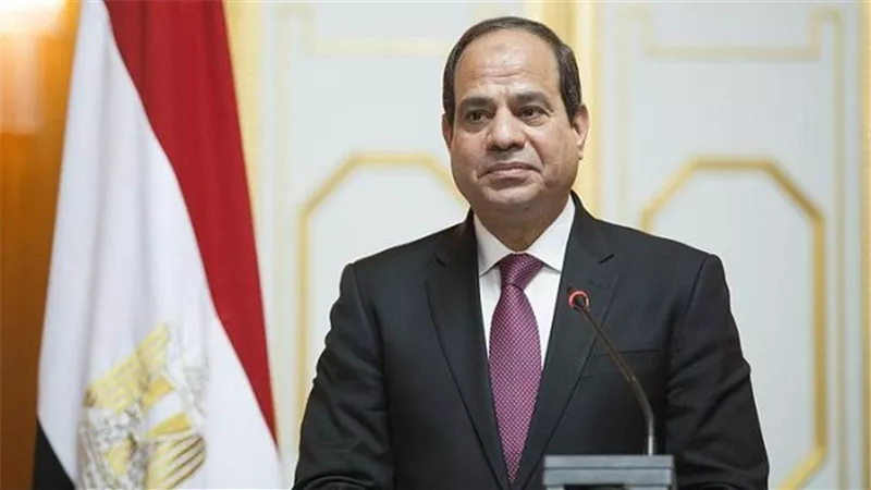 ماذا يقرأ السيسي؟.. 