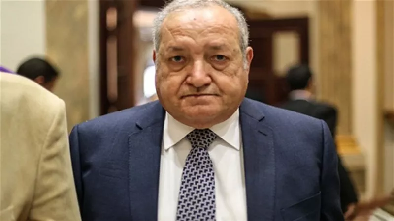 بالفيديو.. برلماني: 