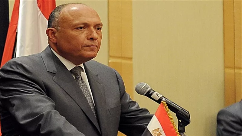 سامح شكري يطير إلى باريس لتفعيل المبادرة المصرية للسلام في فلسطين