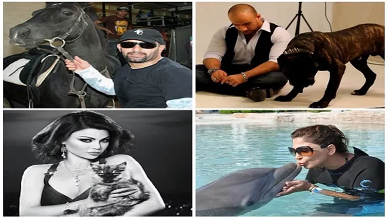 فنانون شغف قلوبهم حب الحيوانات.. أحمد مكي يعلم كلابه 