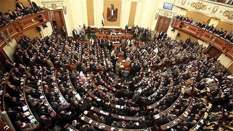 برلماني: تحسين خدمات الإنترنت يجذب الاستثمار لمصر 