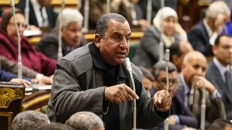 عبد الحميد كمال: البرلمان يغفل قضايا هامة خلال الانعقاد الأول