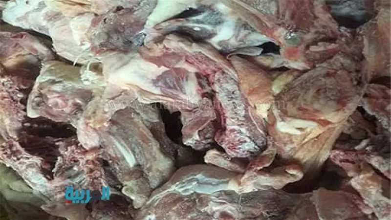بالصور.. ضبط 7 أطنان لحوم فاسدة في المرج 