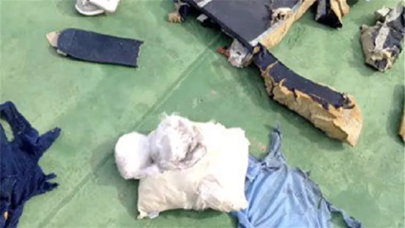 لجنة التحقيق في حادث الطائرة الروسية المنكوبة تنهي مرحلة 